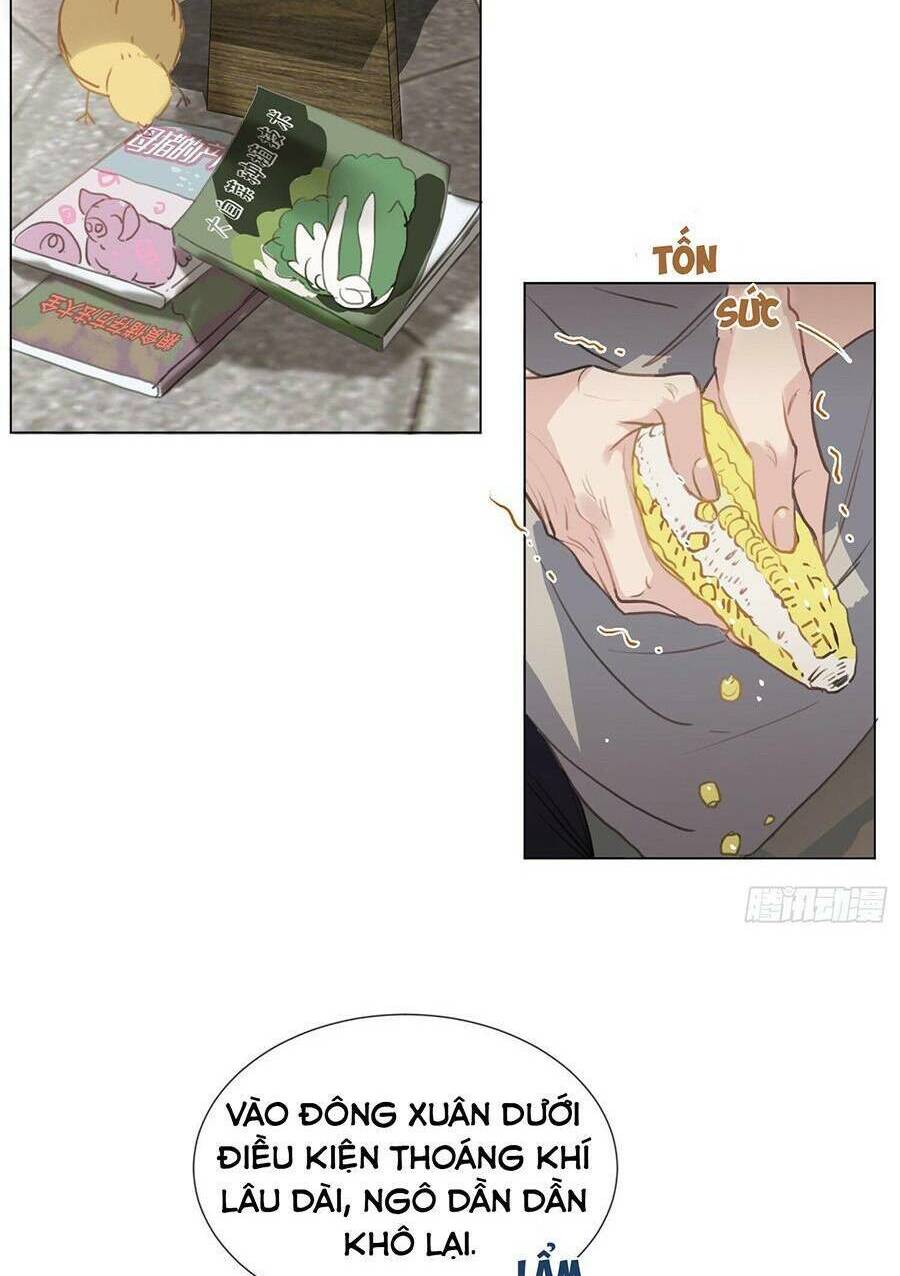 page_23.jpg
