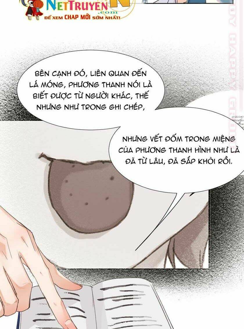 page_29.jpg