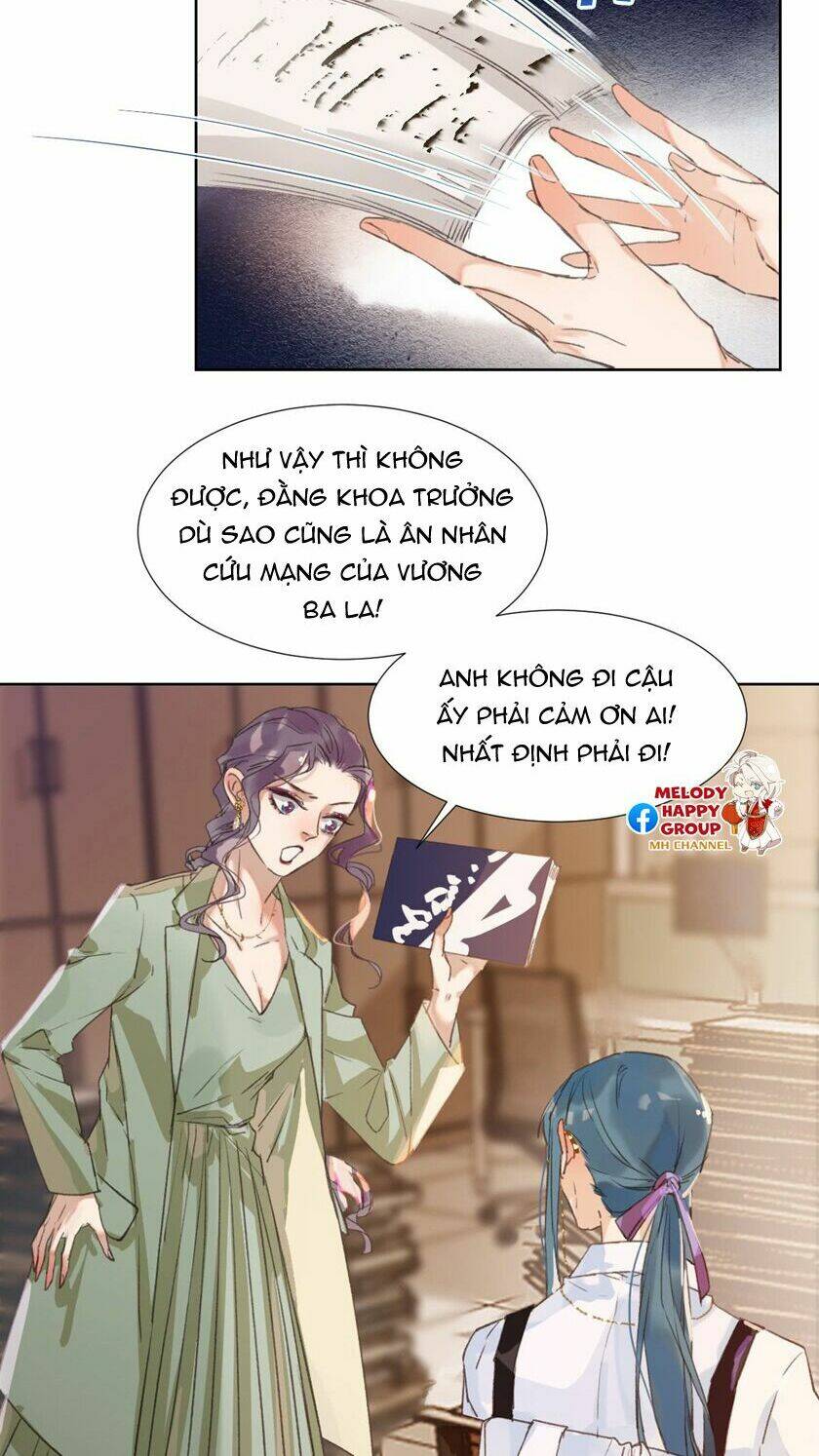 page_28.jpg