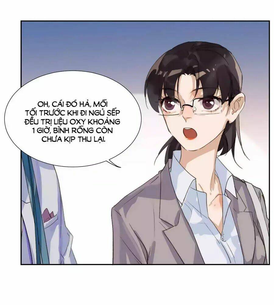 page_19.jpg