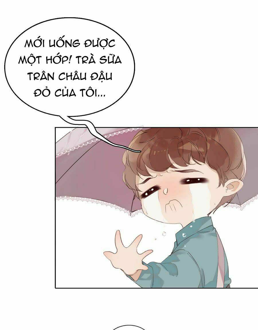 page_16.jpg