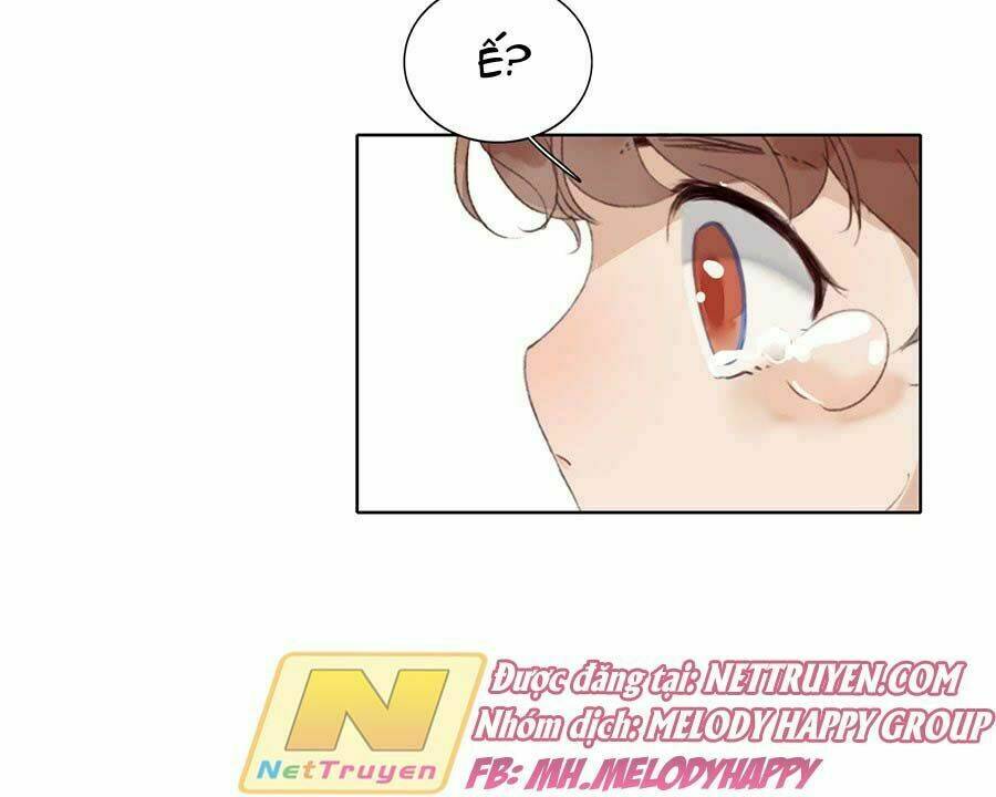 page_17.jpg