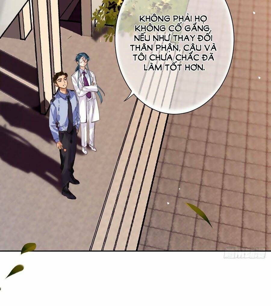 page_21.jpg
