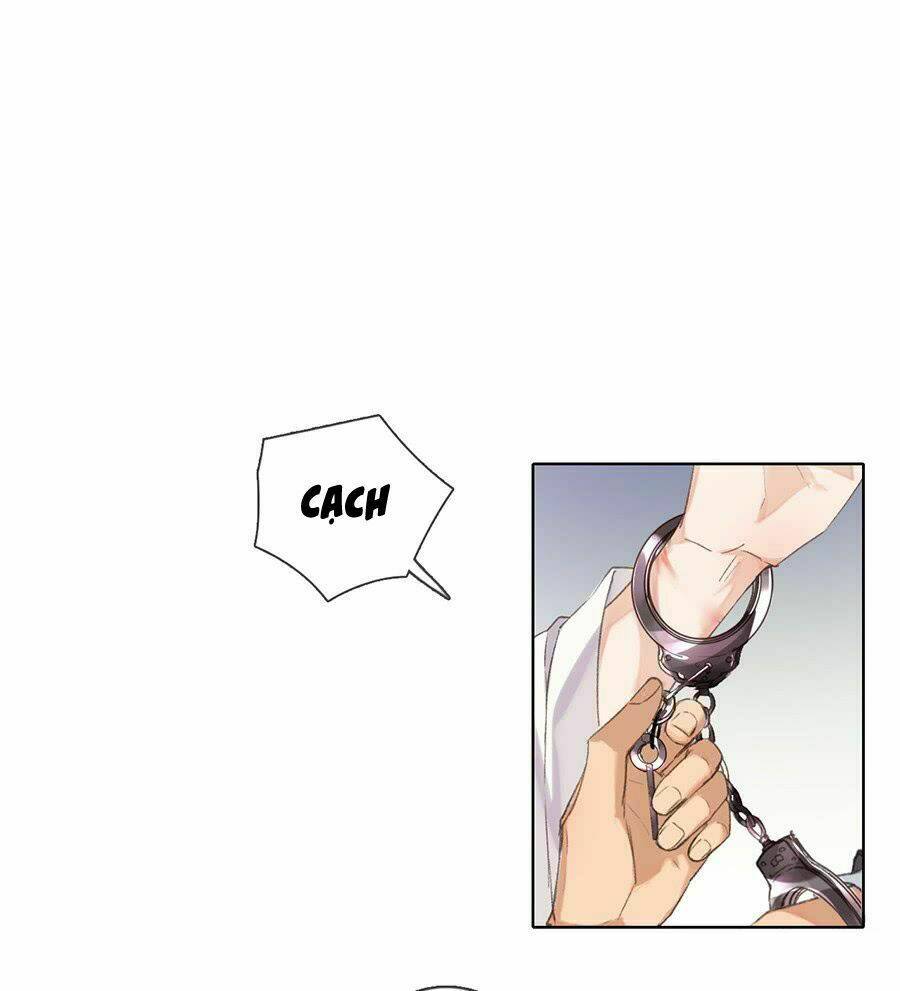 page_29.jpg