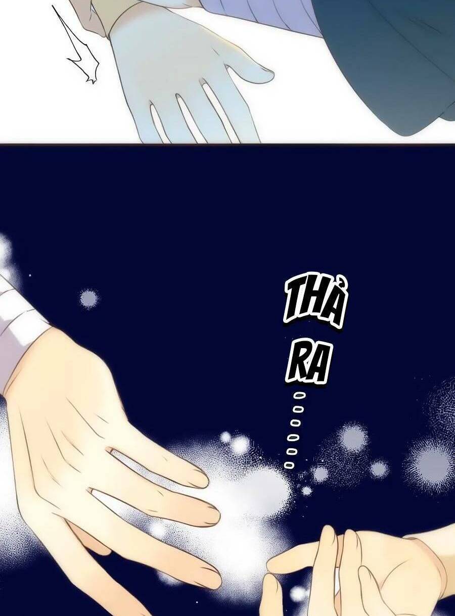 page_29.jpg
