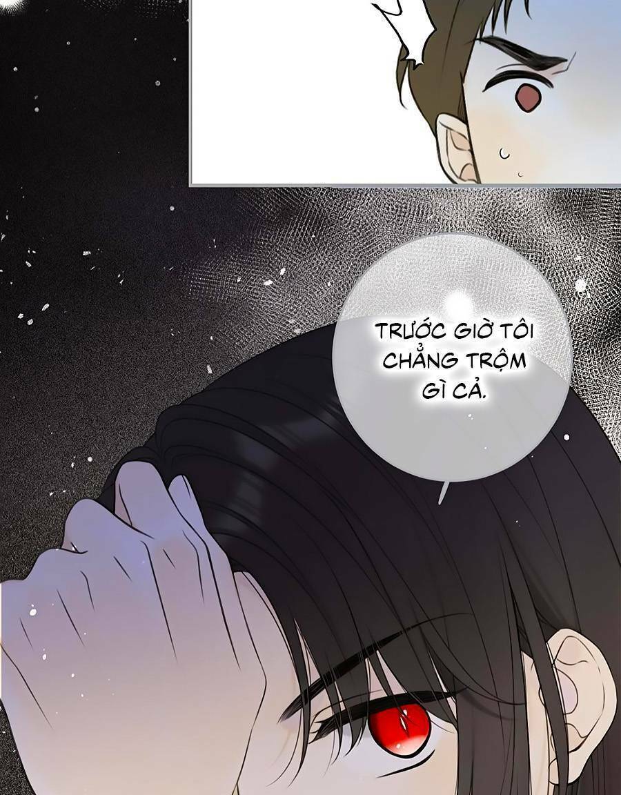 page_19.jpg