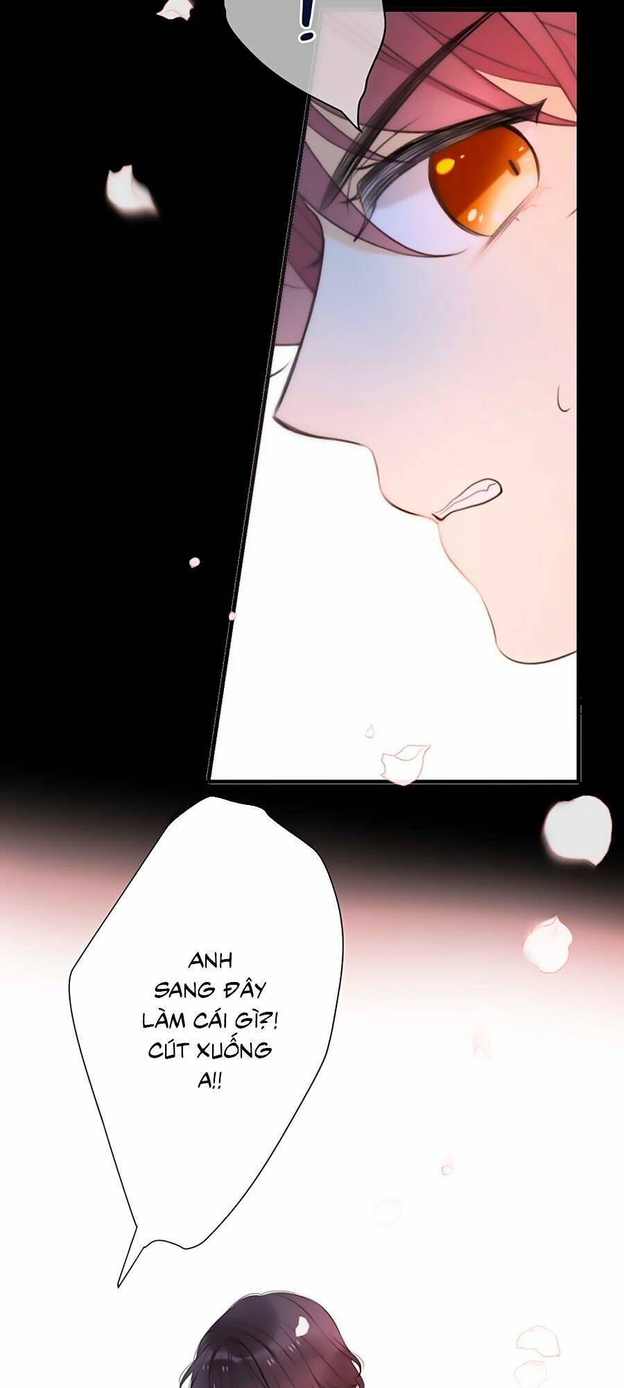 page_41.jpg