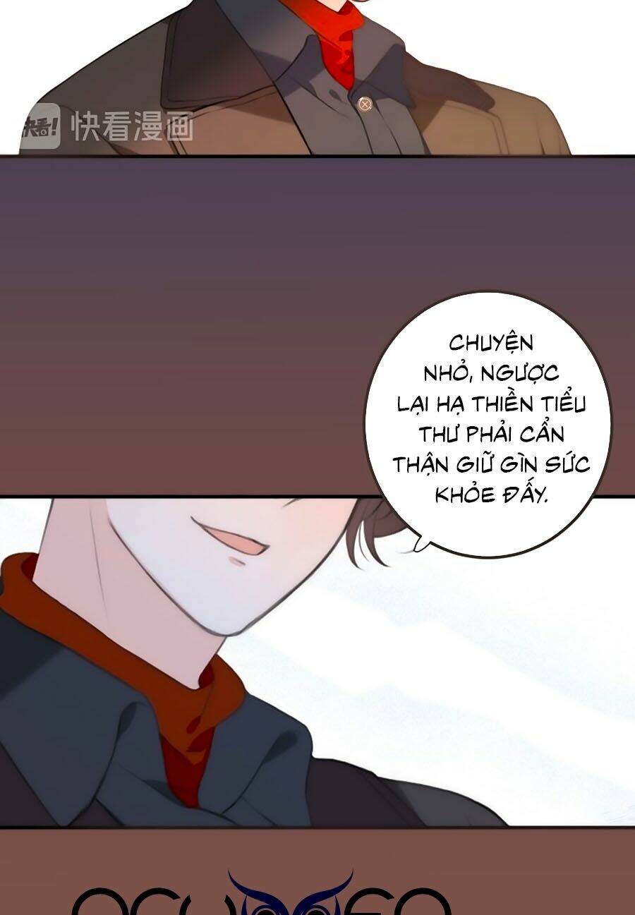 page_29.jpg