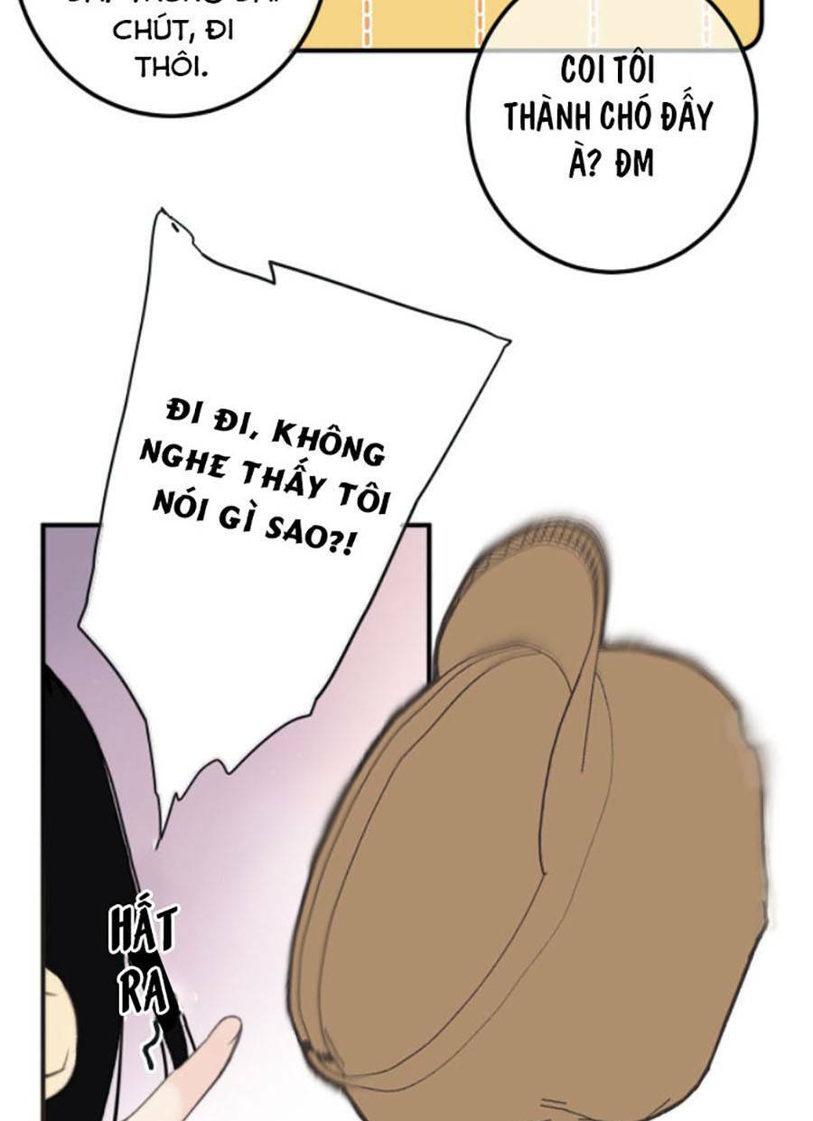page_37.jpg