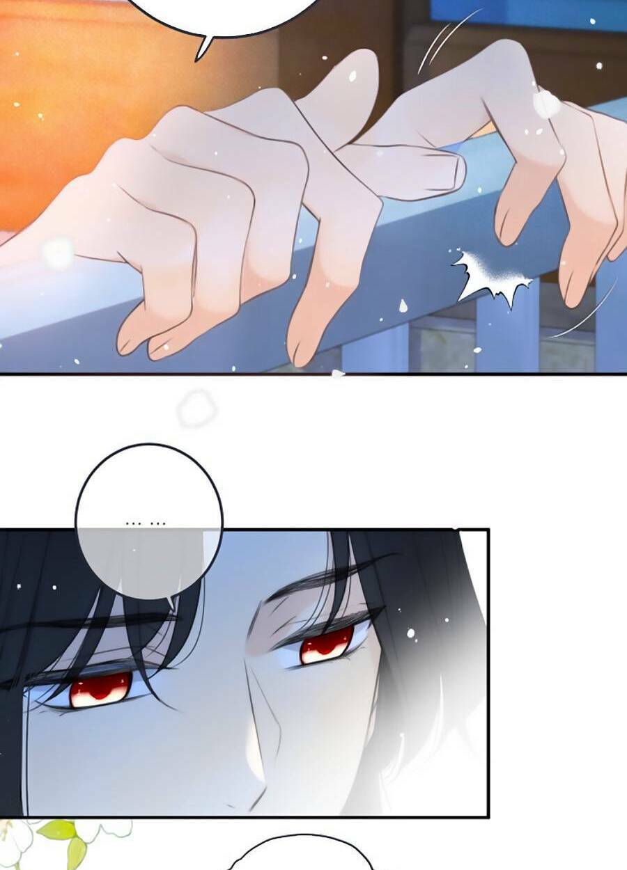 page_25.jpg