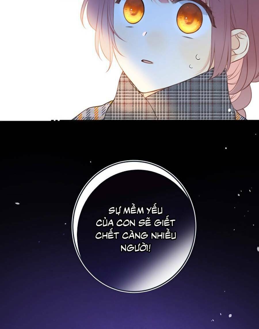 page_24.jpg