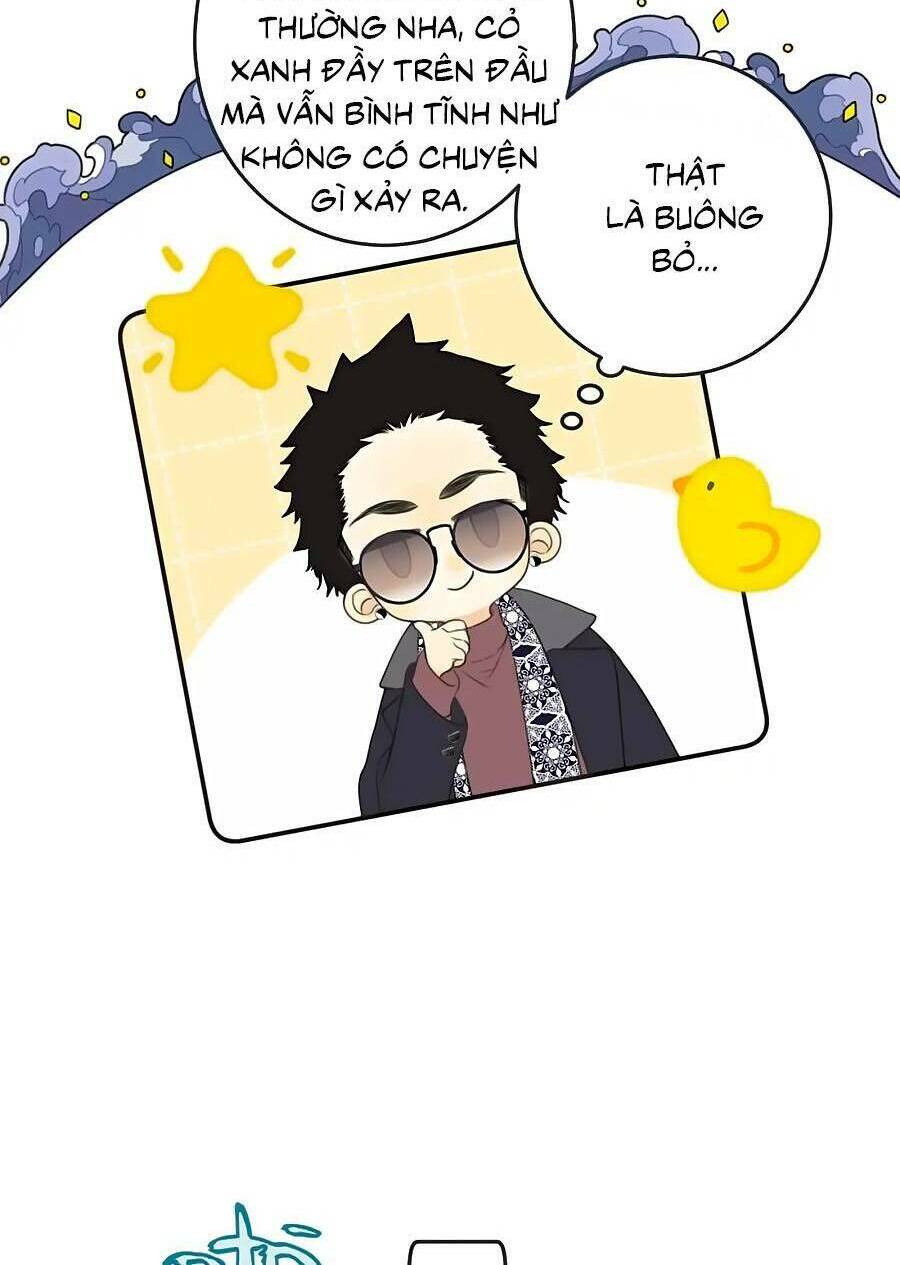 page_31.jpg