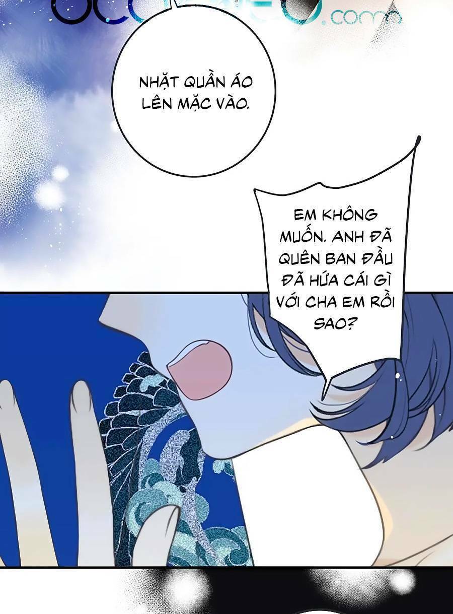page_40.jpg