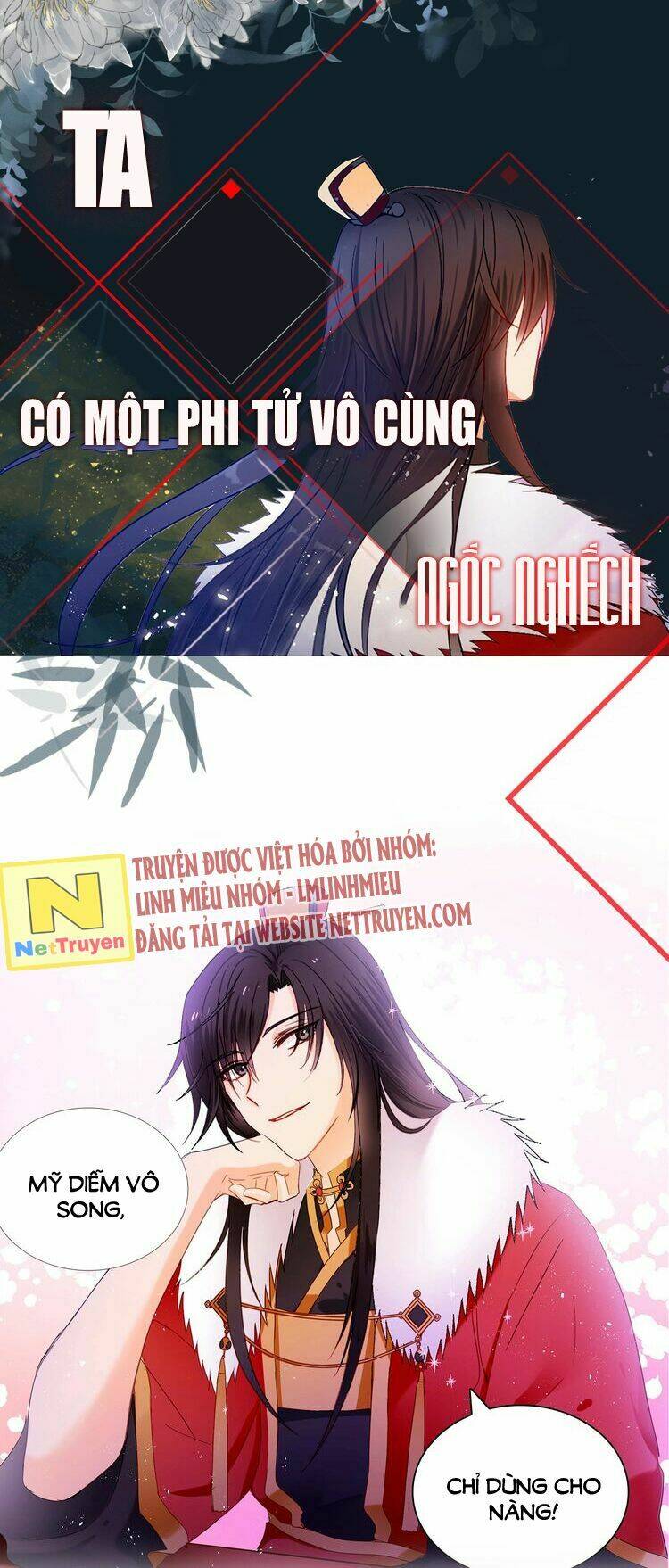 page_1.jpg