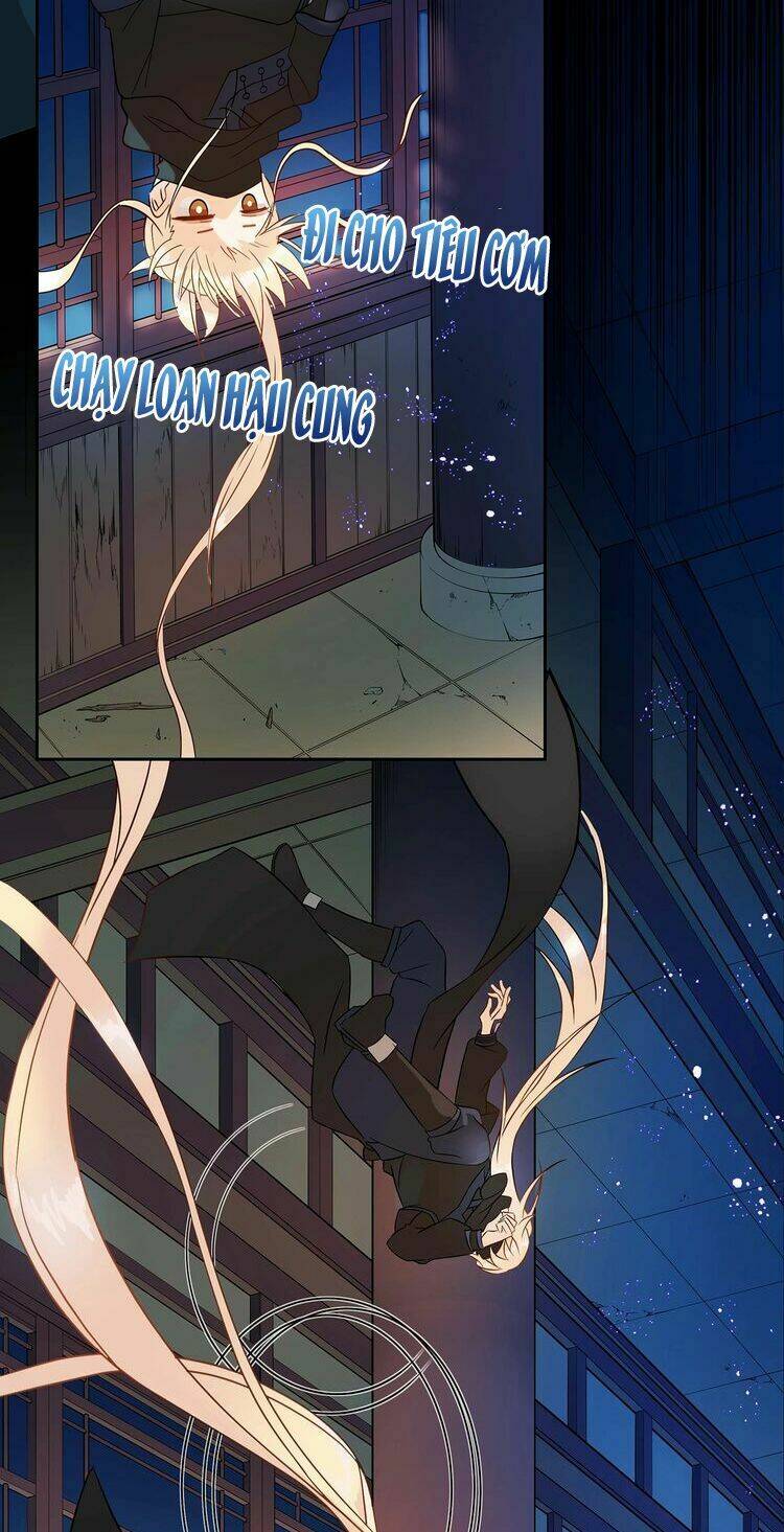 page_25.jpg