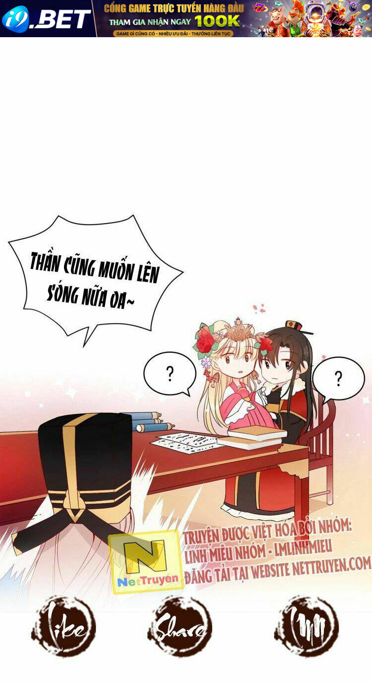 page_29.jpg