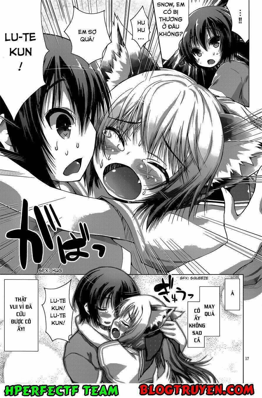 page_17.jpg
