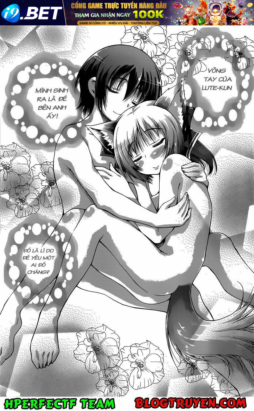 page_21.jpg