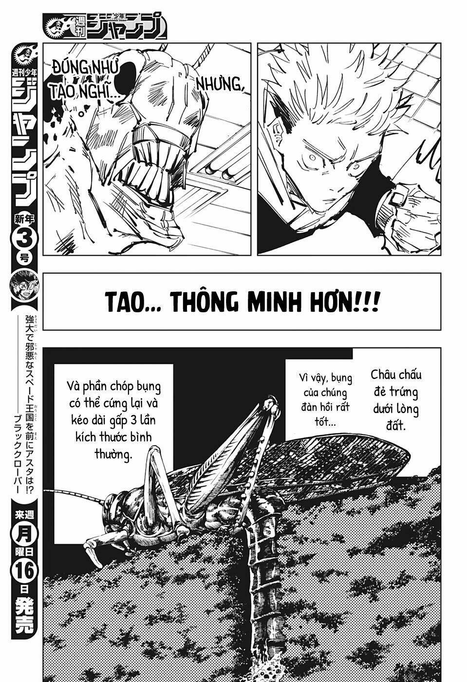 page_16.jpg