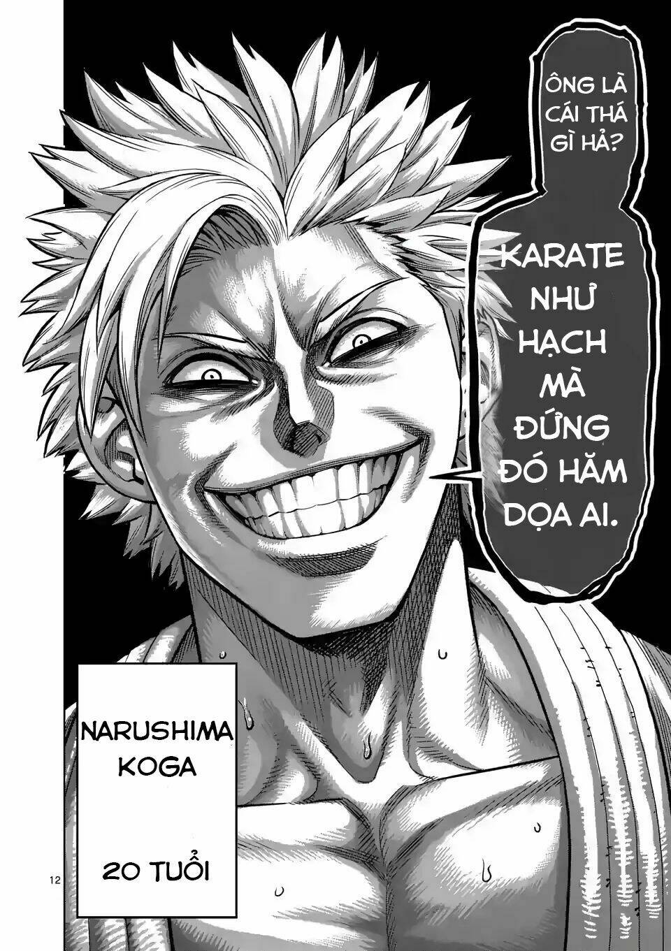 page_12.jpg