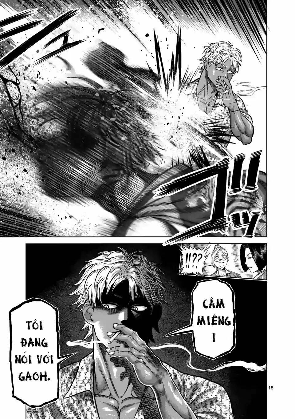 page_16.jpg