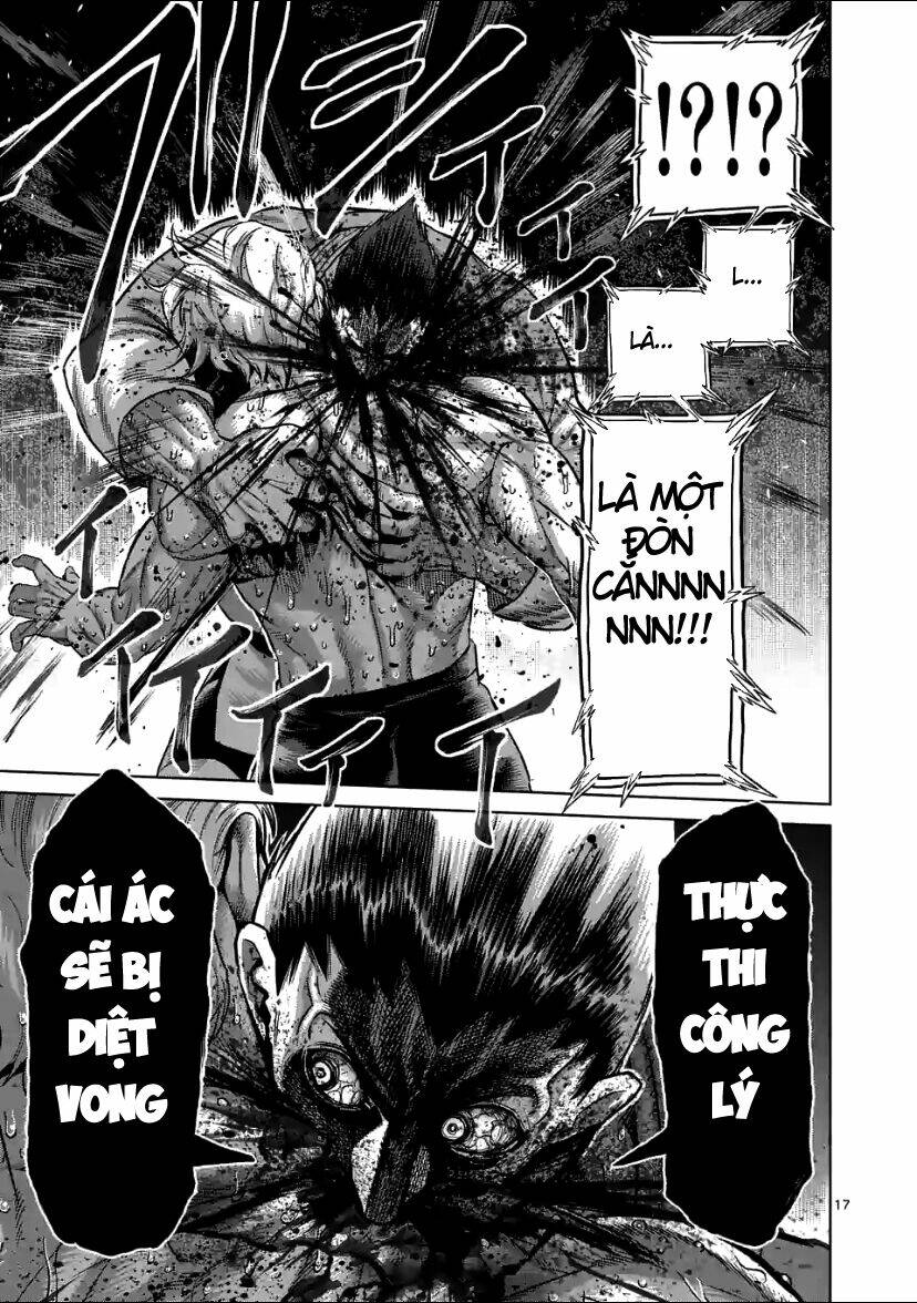page_17.jpg