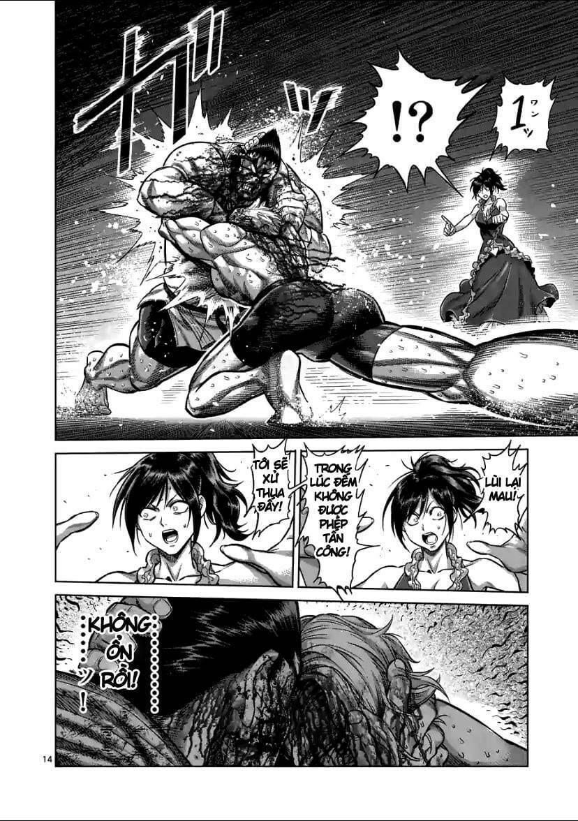 page_14.jpg