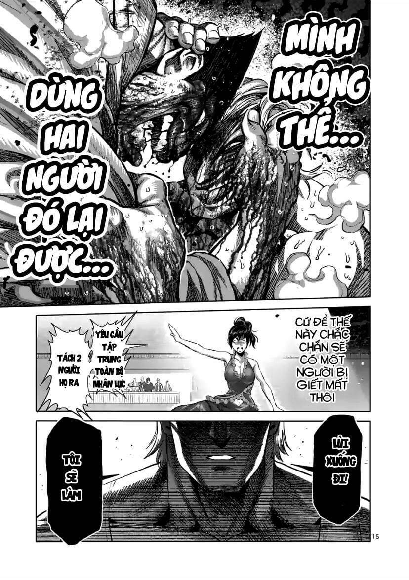 page_15.jpg