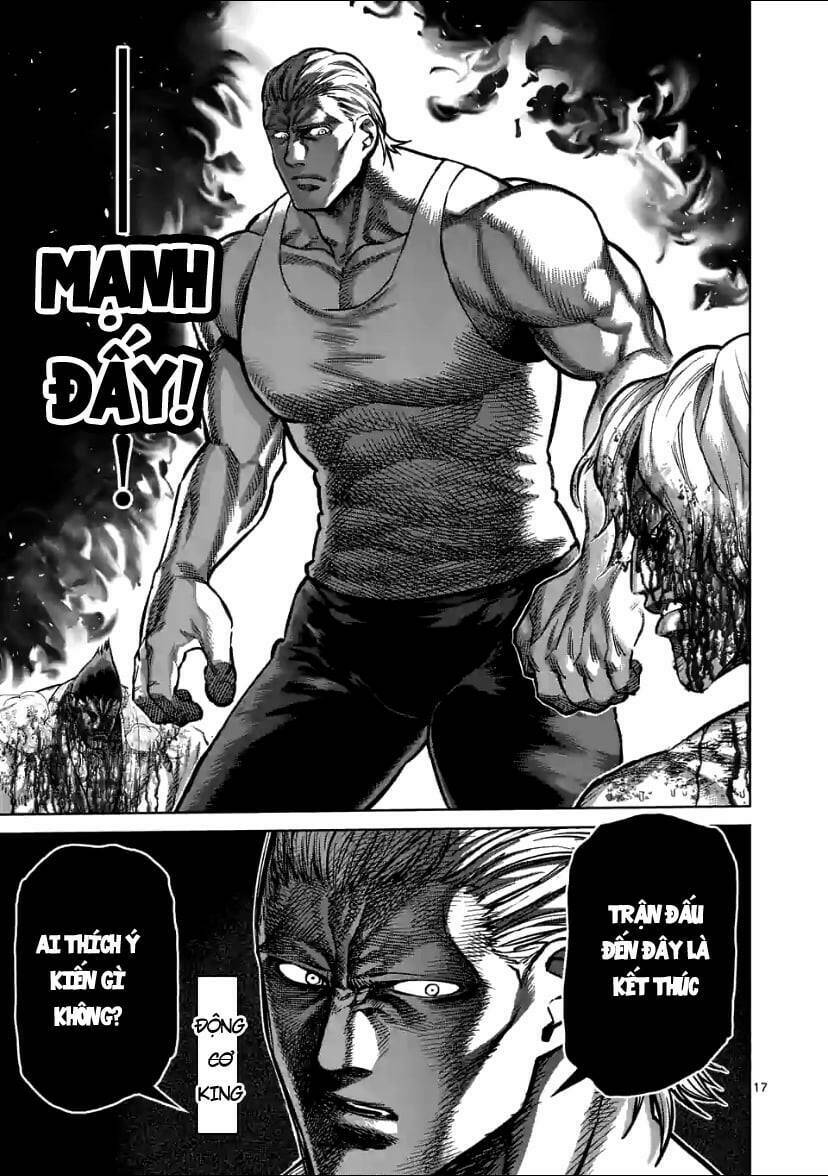 page_17.jpg