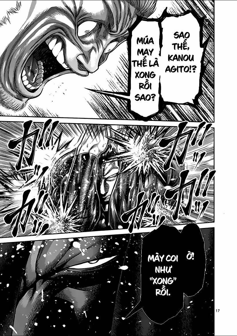 page_17.jpg