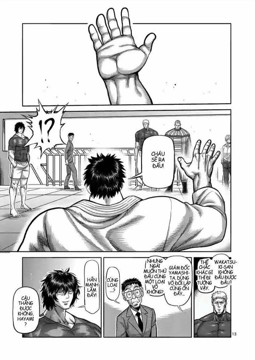 page_13.jpg