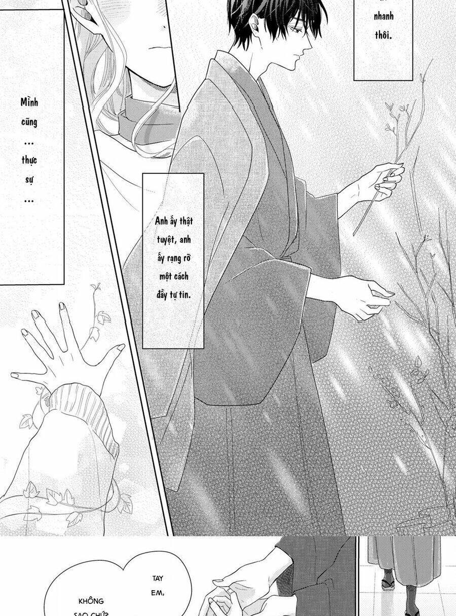 page_39.jpg