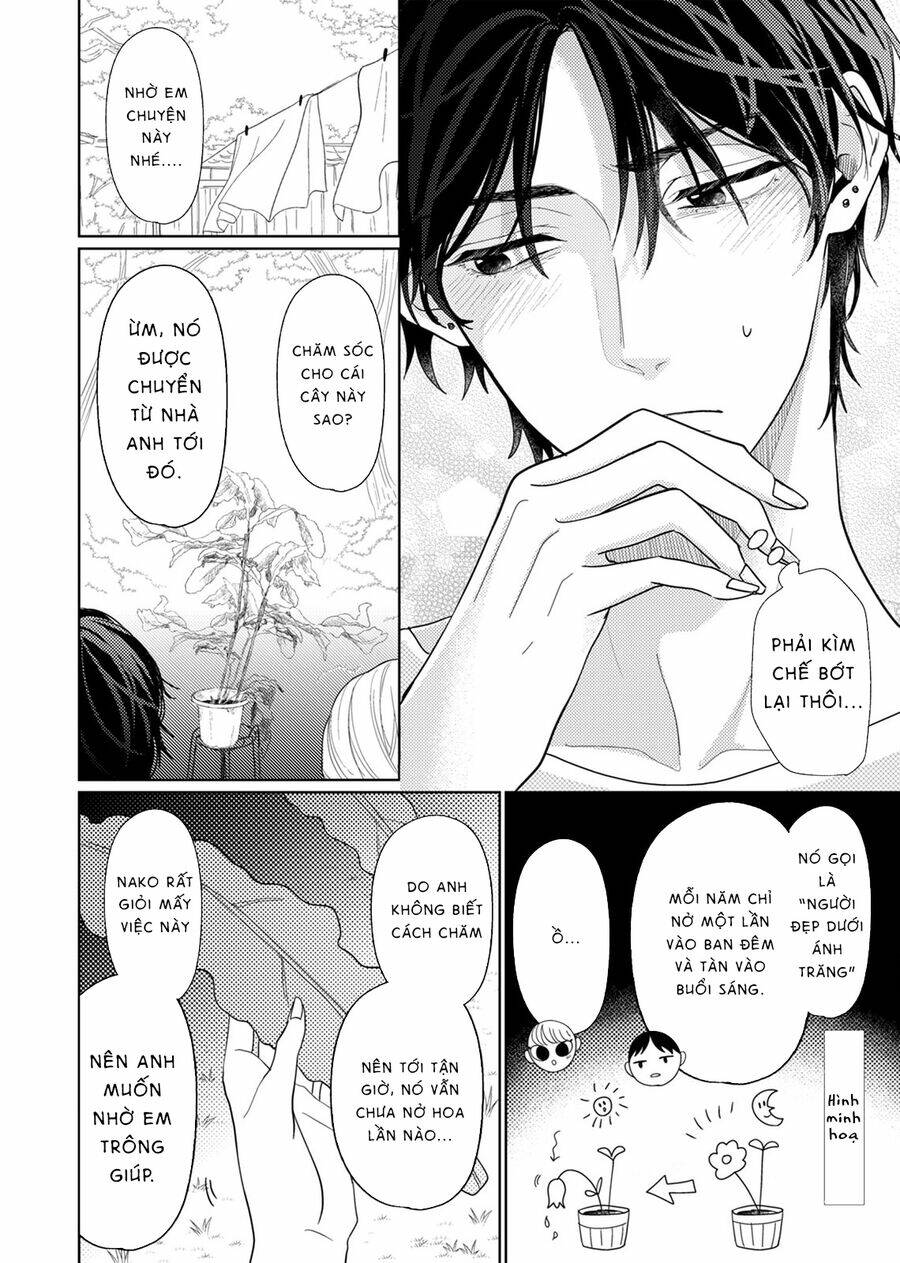 page_16.jpg