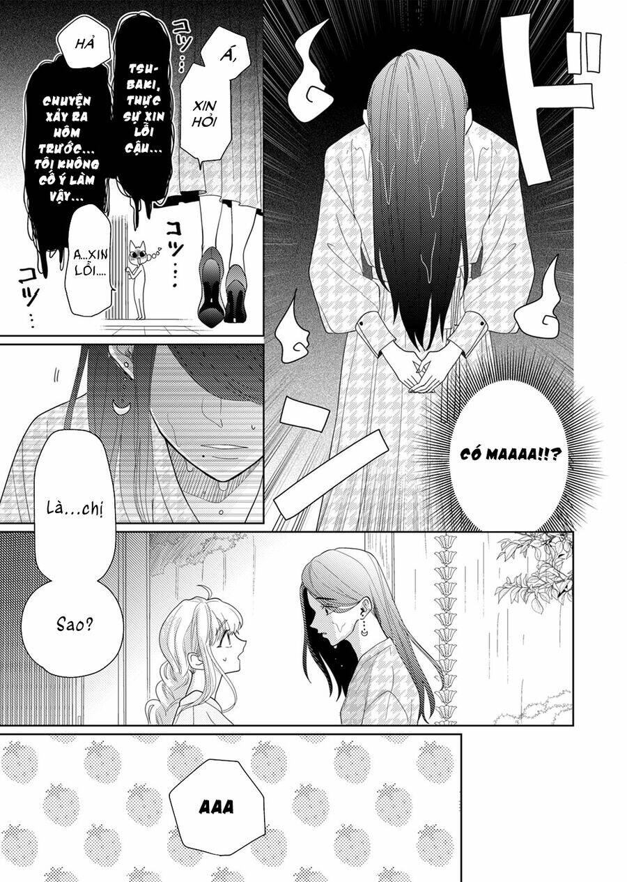 page_19.jpg