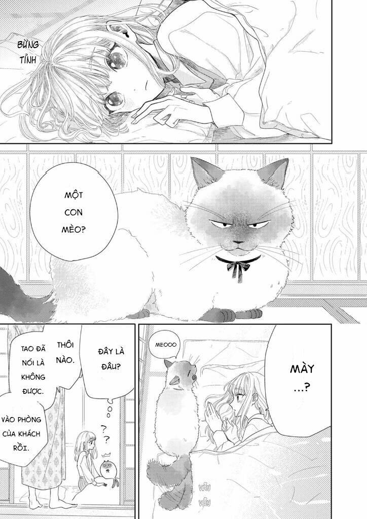 page_32.jpg