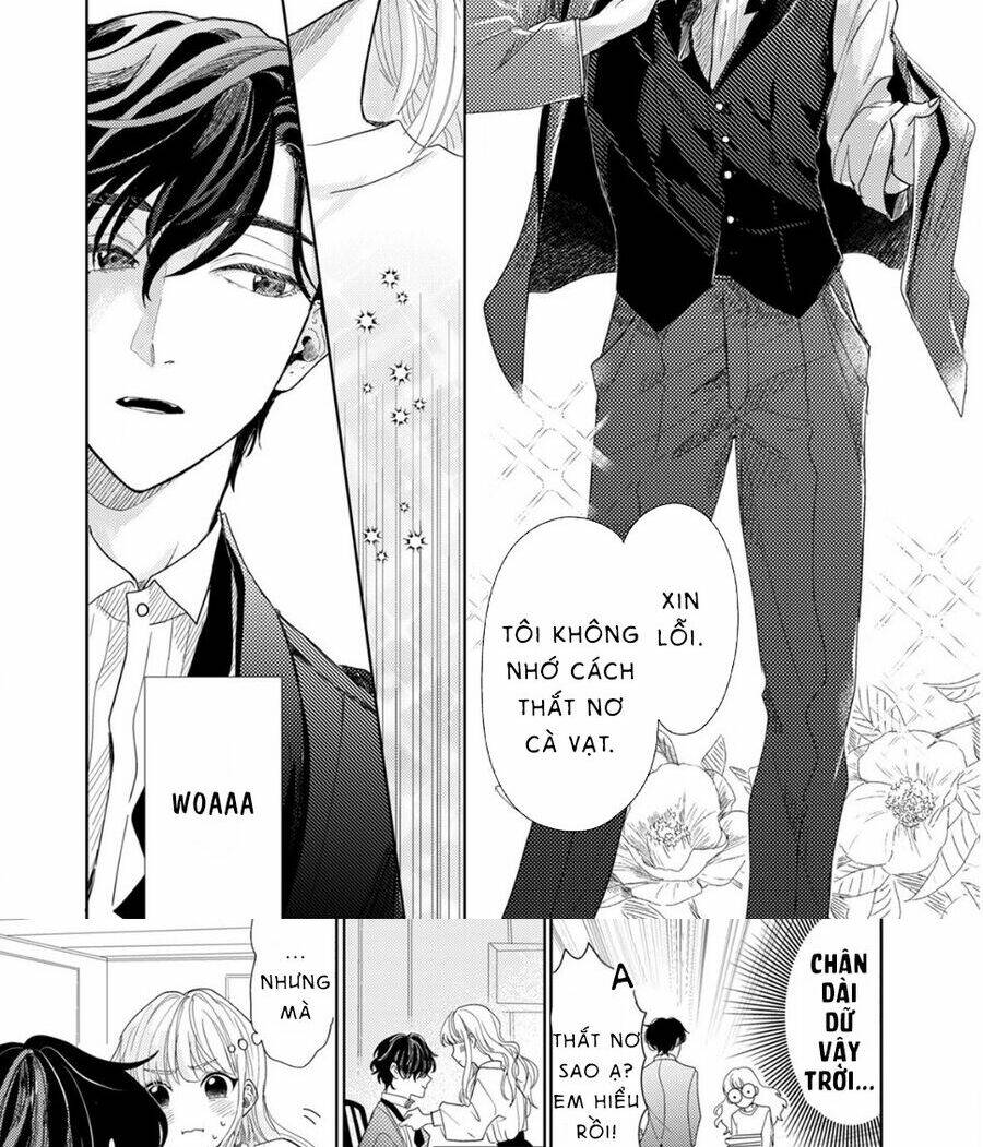 page_17.jpg