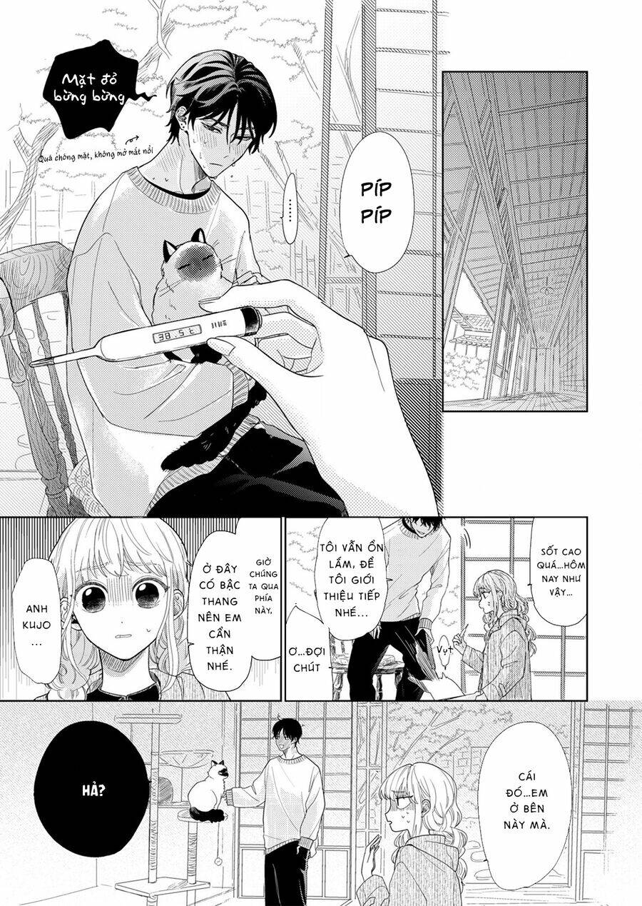 page_19.jpg