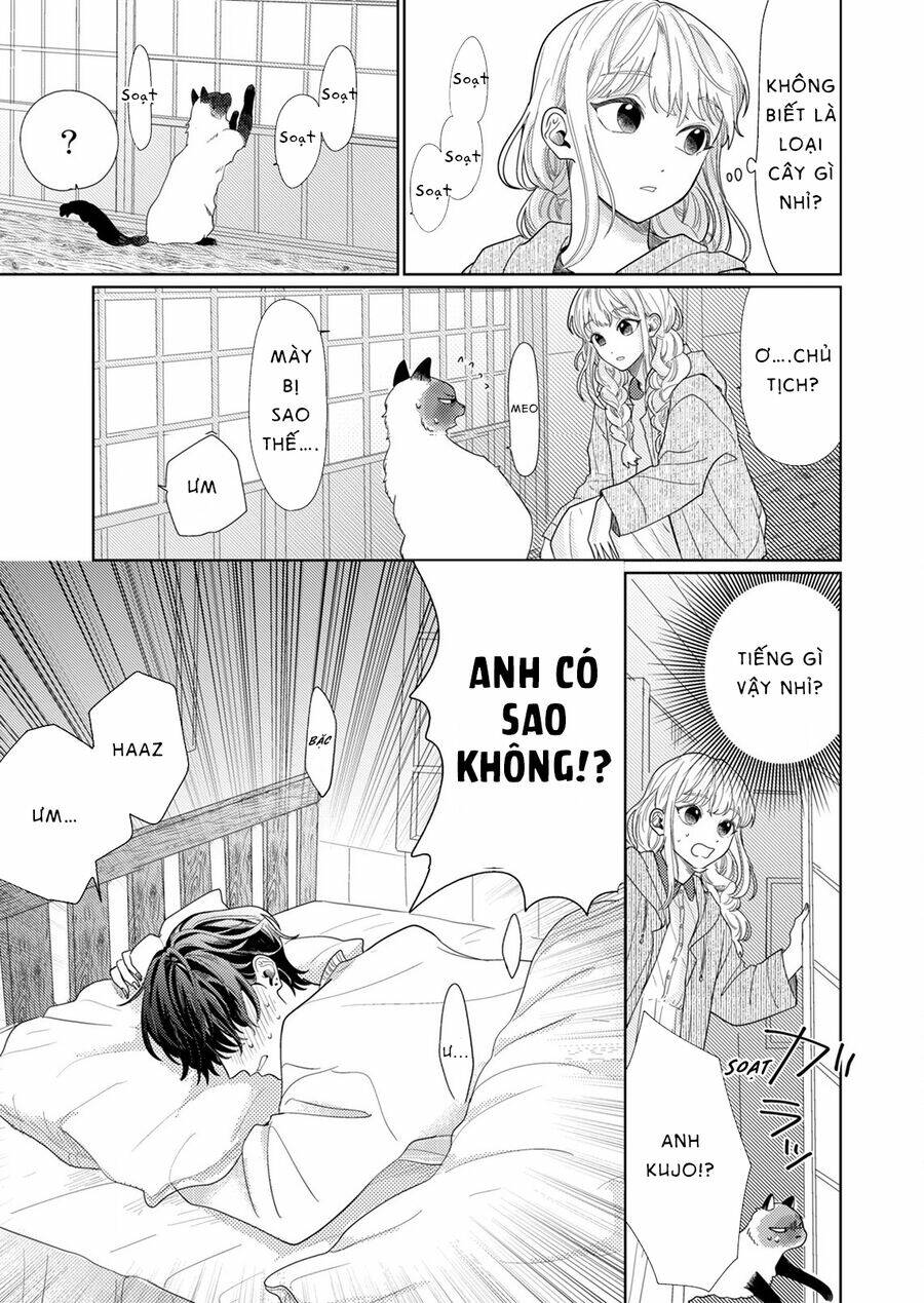 page_25.jpg