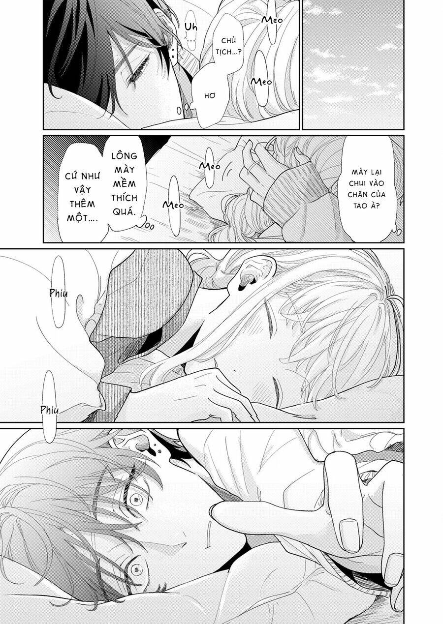 page_29.jpg