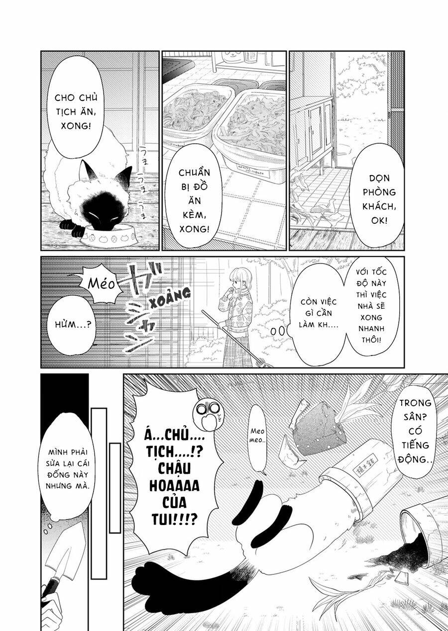 page_15.jpg