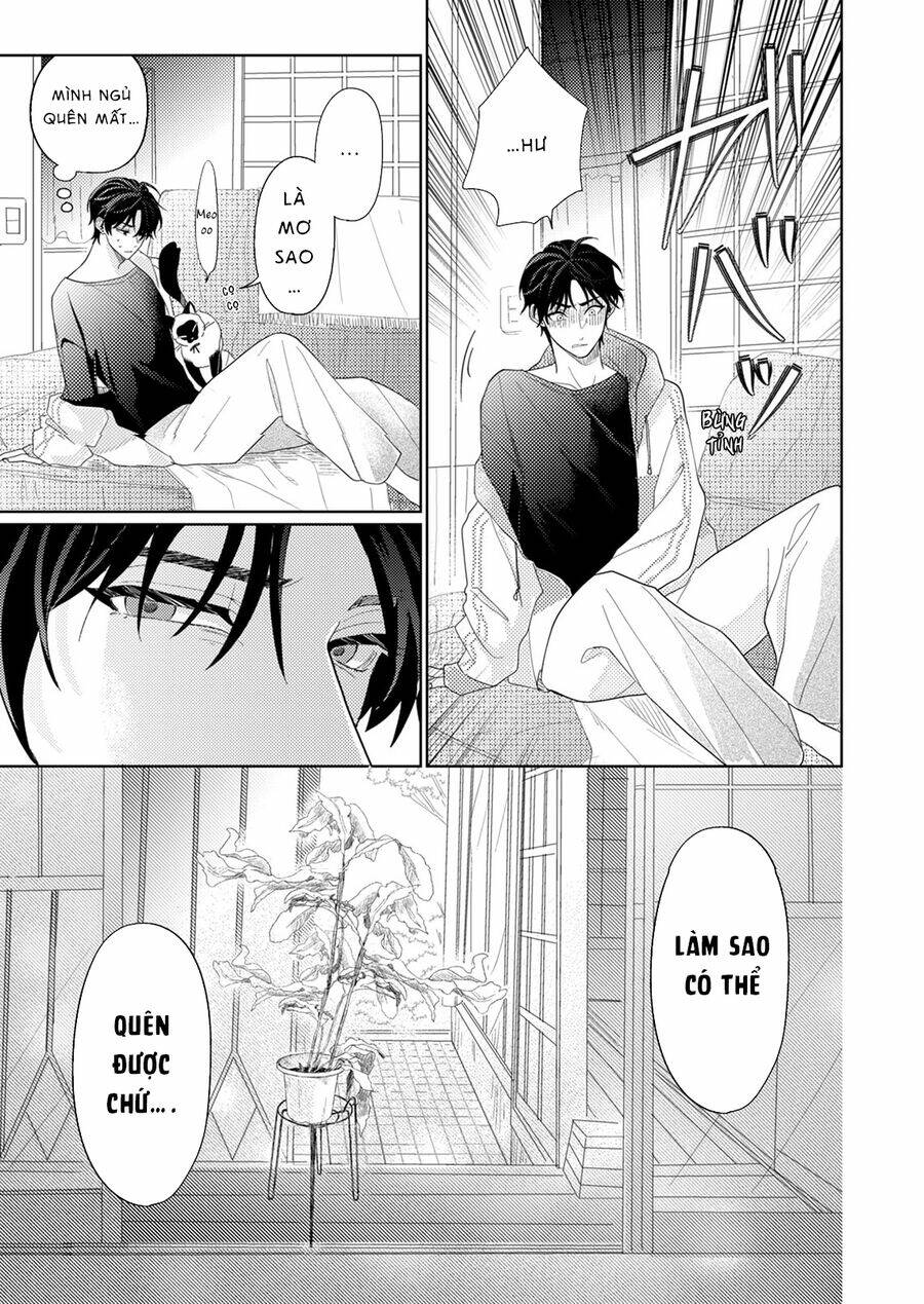 page_13.jpg