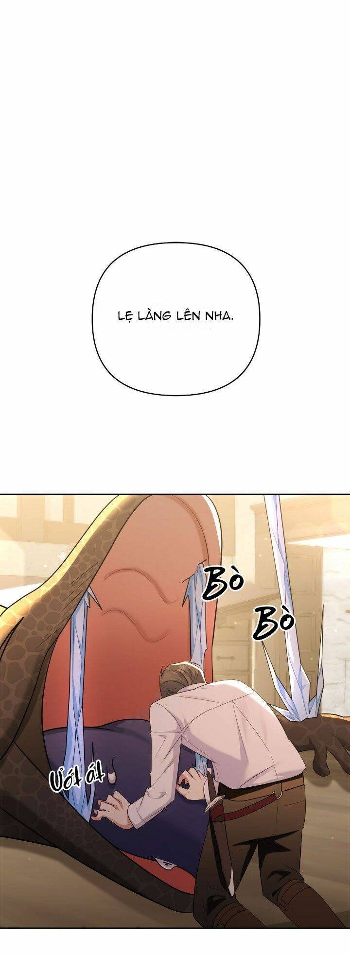 page_24.jpg