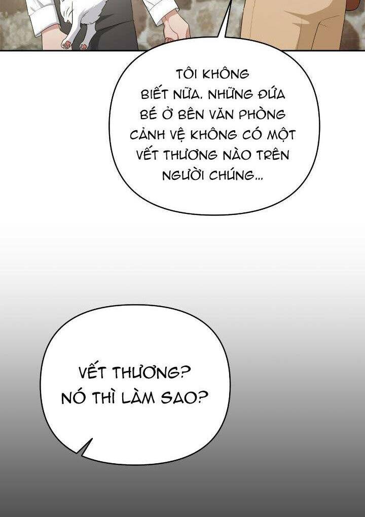page_27.jpg