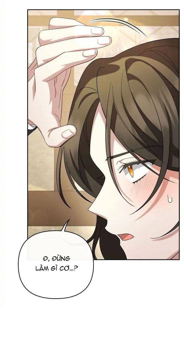 page_19.jpg
