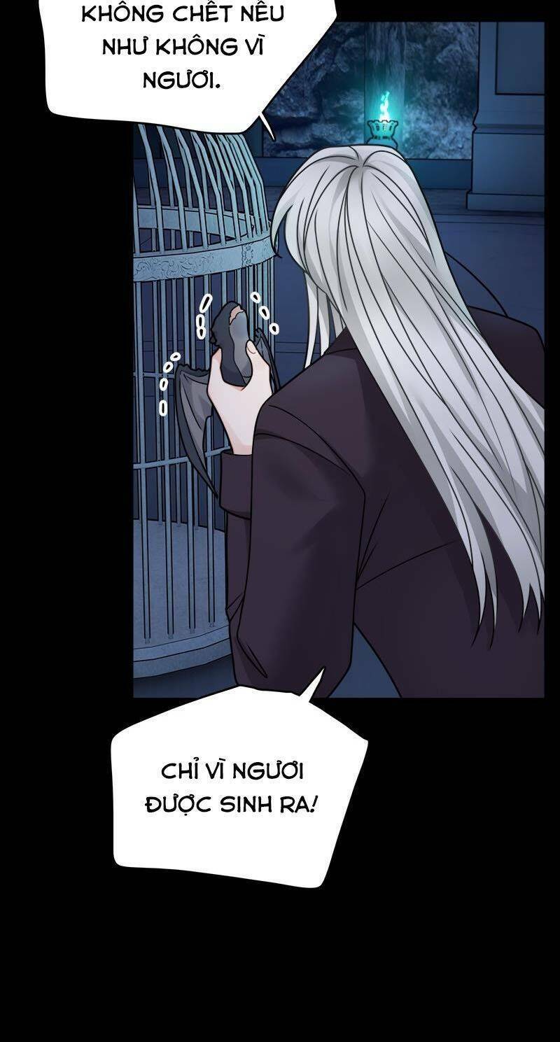 page_24.jpg