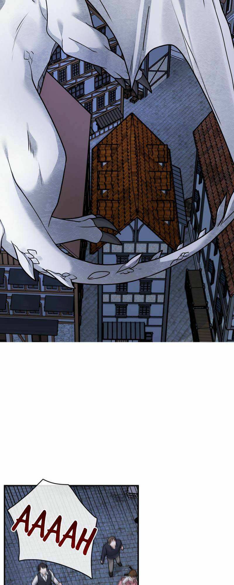 page_29.jpg