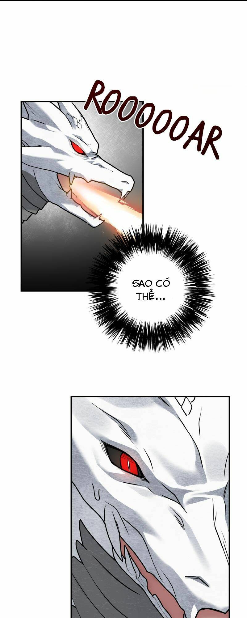 page_21.jpg