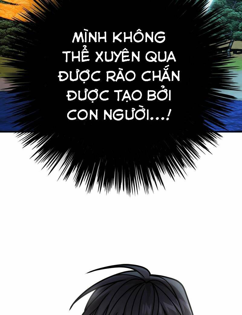 page_23.jpg
