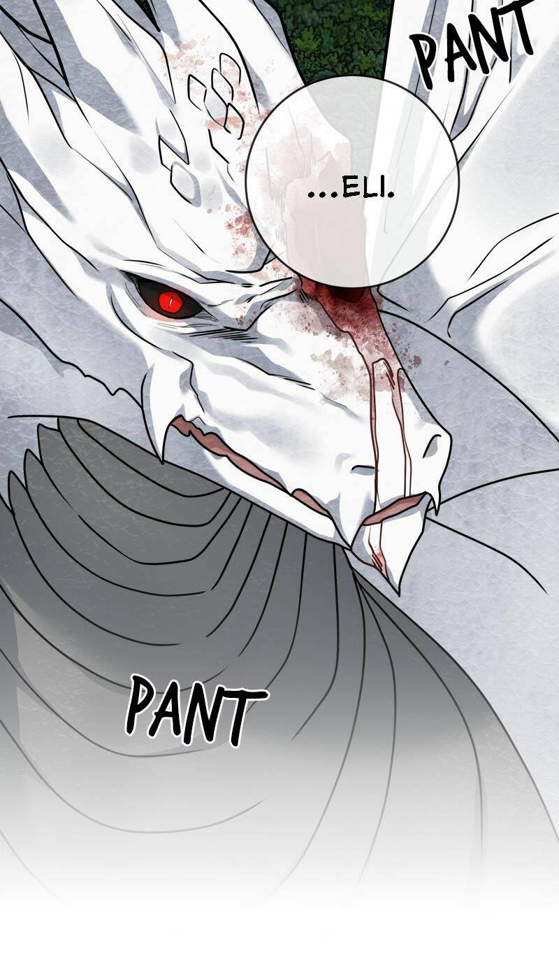 page_22.jpg