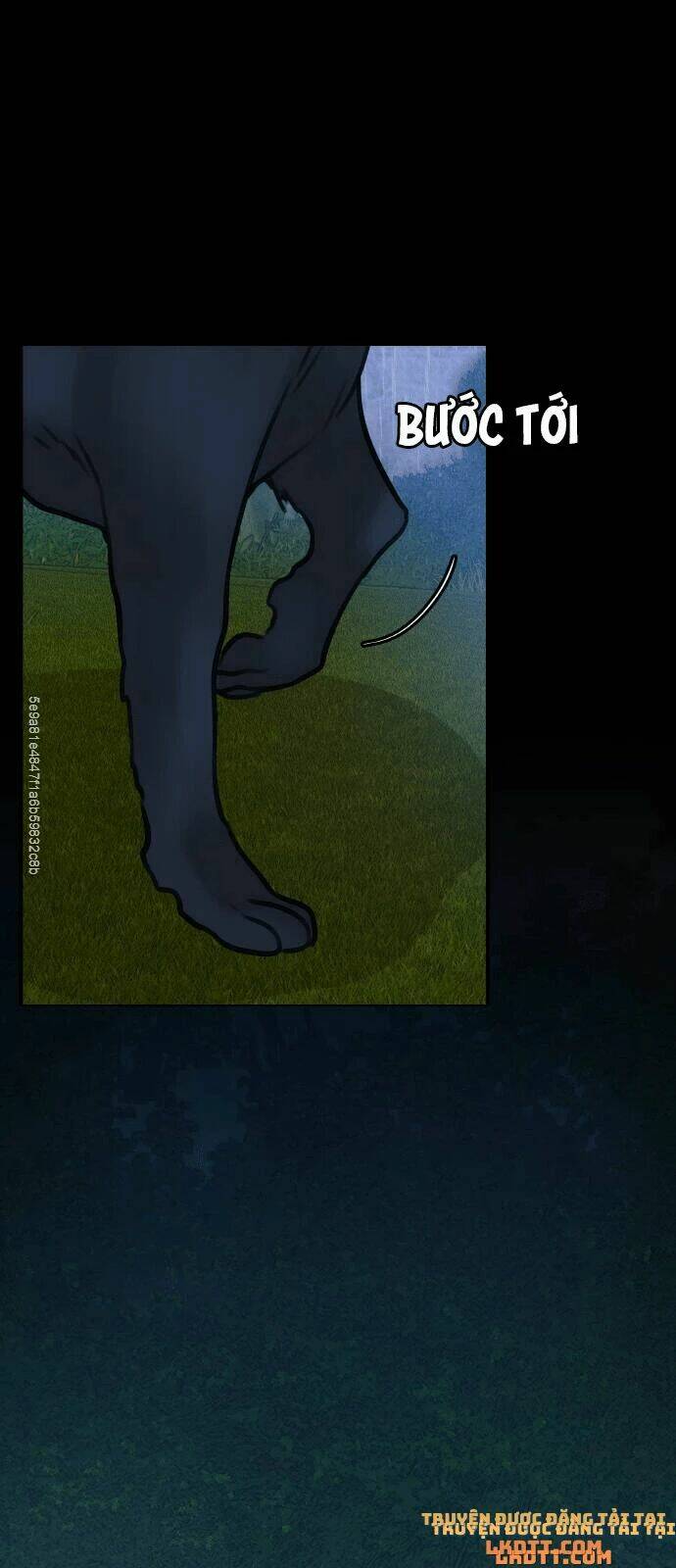 page_50.jpg